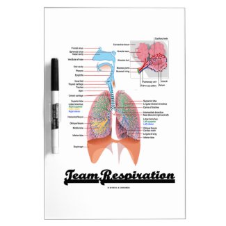 Team Respiration (Respiratory System) Dry Erase Board