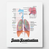 Team Respiration (Respiratory System) Photo Plaques