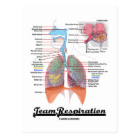 Team Respiration (Respiratory System) Postcard