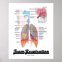 Team Respiration (Respiratory System) Poster