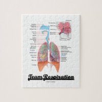 Team Respiration (Respiratory System) Puzzle
