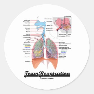 Team Respiration (Respiratory System) Round Stickers