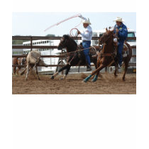 Team Roping t-shirts