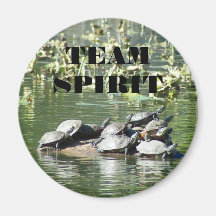 Team Spirit Turtle Magnet