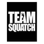 TEAM SQUATCH - POST CARDS