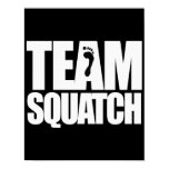 TEAM SQUATCH - posters