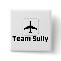 Team Sully buttons