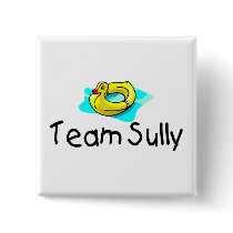Team Sully Duck buttons