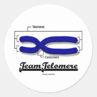 Team Telomere (Biology Humor) Classic Round Sticker