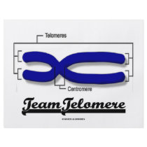Team Telomere (Biology Humor) flyers by wordsunwords Team Telomere (Biology Humor) flyers