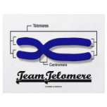 Team Telomere (Biology Humor) flyers