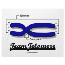 Team Telomere (Biology Humor) Personalized Letterhead