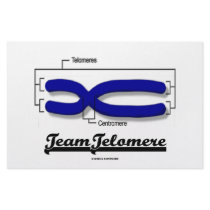 Team Telomere (Biology Humor) stationery