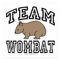 Team Wombat posters