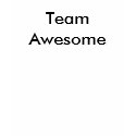 TeamAwesome shirt
