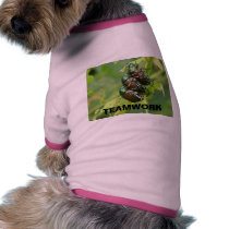 TEAMWORK pet clothing by boris01 TEAMWORK pet clothing