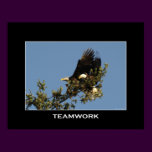 TEAMWORK Motivational Photo Poster