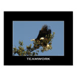 TEAMWORK Motivational Photo Poster