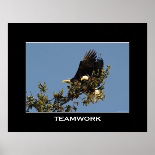 TEAMWORK Motivational Photo Poster