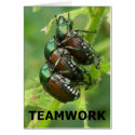 Teamwork - Vertical cards