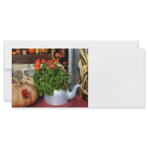 Teapot Filled With Geraniums Rack Card Design