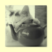 Teapot Pillow magnets