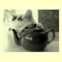 Teapot Pillow postcards