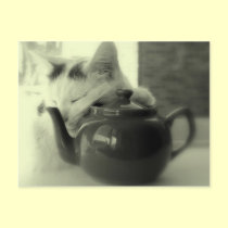 Teapot Pillow postcards