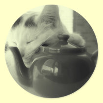 Teapot Pillow stickers