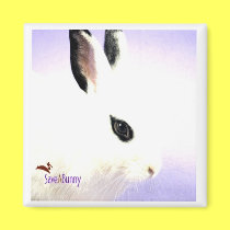 Teardrop Bunny magnets