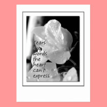 Tears postcards