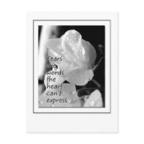Tears postcards