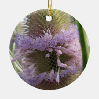 teasel ornaments keepsake ornaments zazzle teasel ornaments keepsake ornaments zazzle