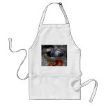 teaspoon aprons