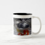 teaspoon coffee mugs