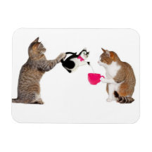 Teatime for kitty cats magnet