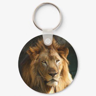 TecBoy.net Keychain - Lion keychain