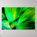 Technicolor Succulent Poster