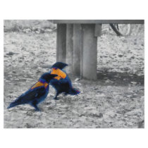 Technicolour crows flyers by Boogybunny Technicolour crows flyers