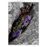 Technicoloured Creature Card