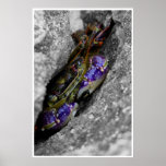Technicoloured Creature Print
