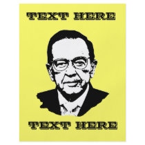 Ted Stevens flyers