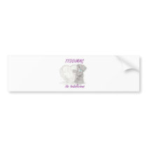 teddimag productions bumper stickers