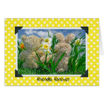 Teddy and Bunny Buddies cards