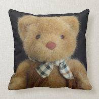 Teddy Bear throwpillow