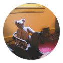 Teddy Bear and Rocking Horse sticker