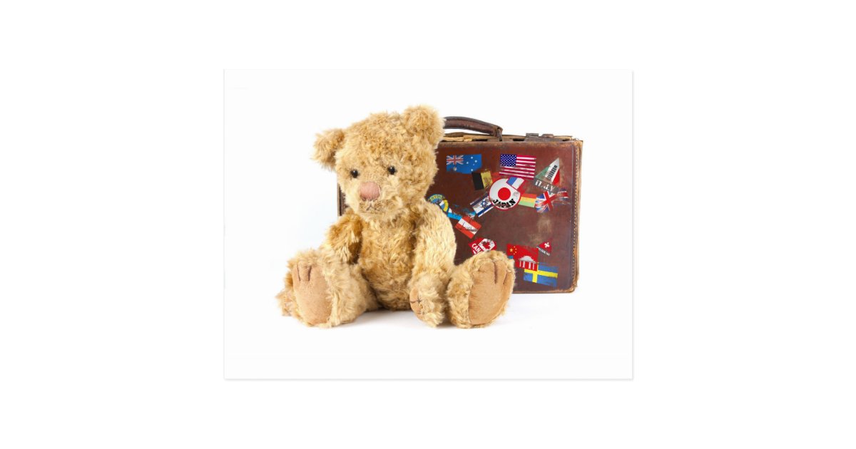 teddy with suitcase