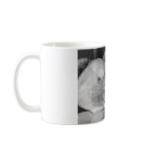 Teddy Bear B/W mugs