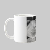 Teddy Bear B/W mugs