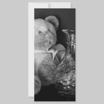 Teddy Bear B/W rack cards